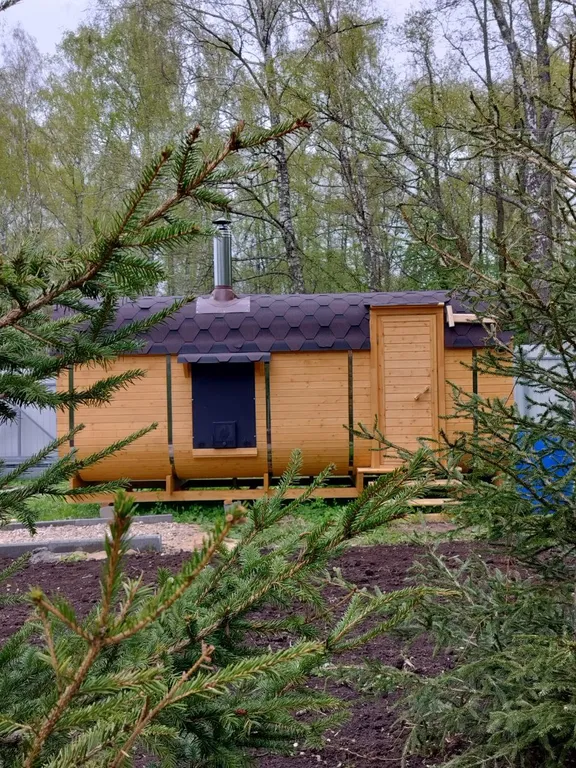 Новый современный Барнхаус посреди леса