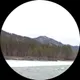 Лилия