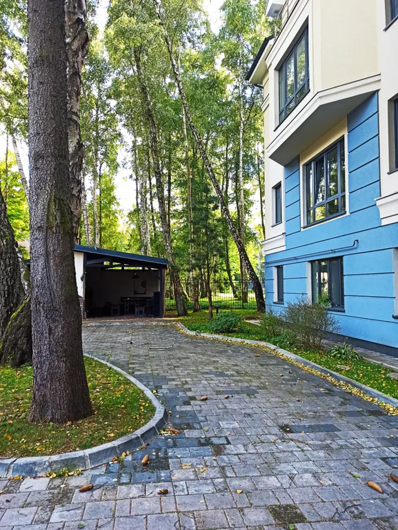 Квартира Квартира в центре — Светлогорск