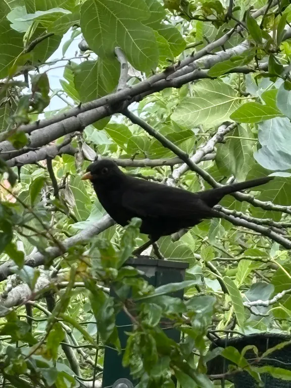 Квартира Делюкс комната с удобствами в лучшем районе Сириуса — Сириус