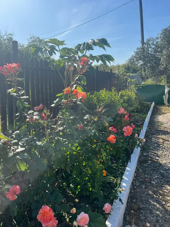 Уютный домик у моря