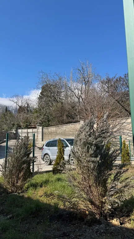 Студия Киви