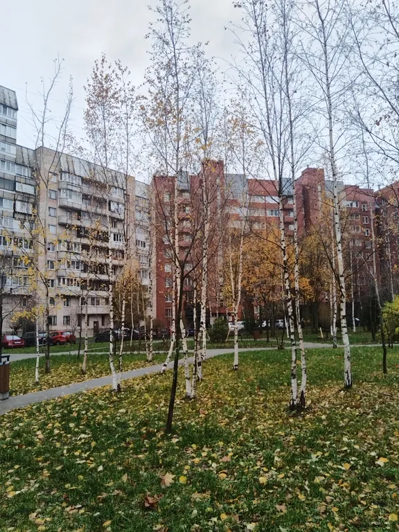 Отличная квартира у метро Озерки