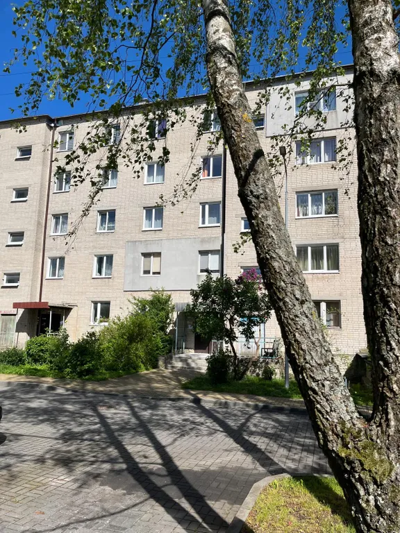 Квартира Уютная квартира, в 5-10 минутах от моря — Зеленоградск