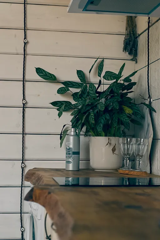 Коттедж Кедровый домик — Казачий Брод