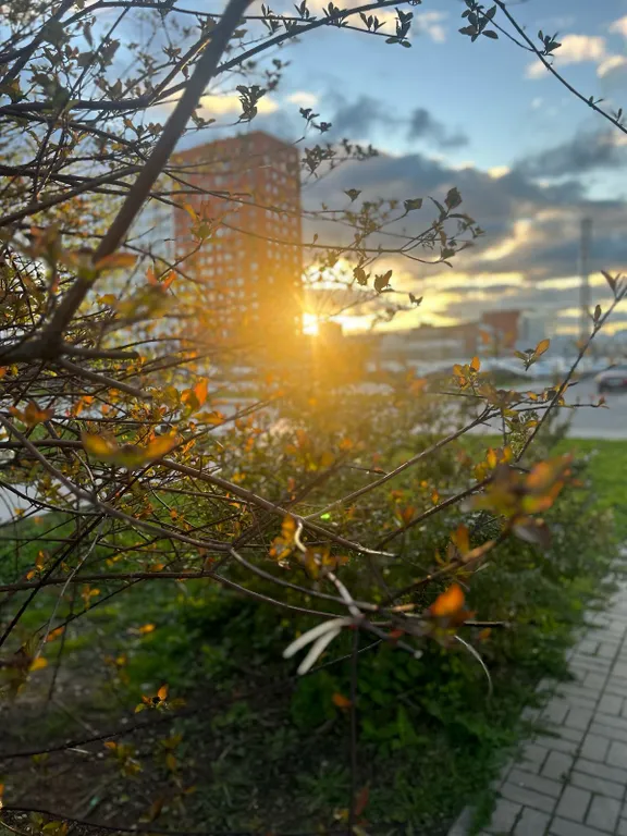 Евро-двушка в ЖК Волга-Парк