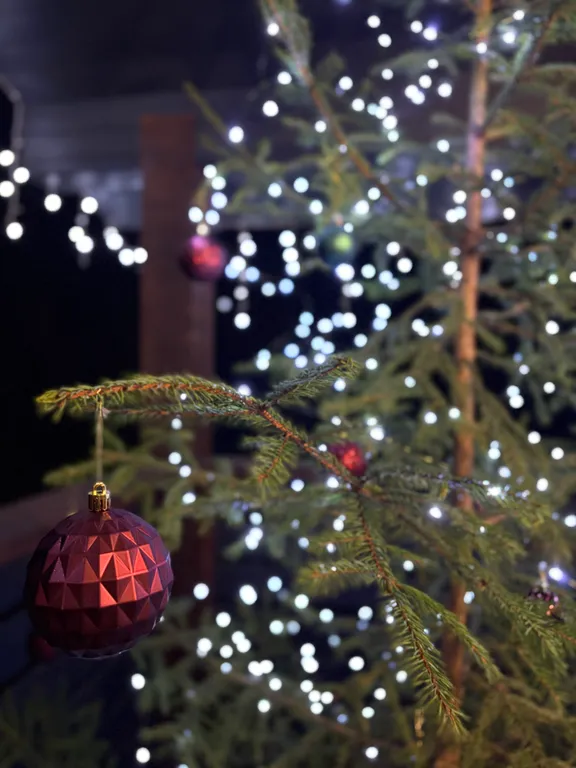 Загородный дом на берегу Ладожского озера