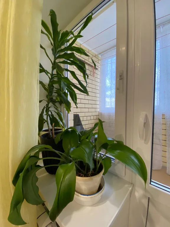 Комфортная однокомнатная квартира в центре города