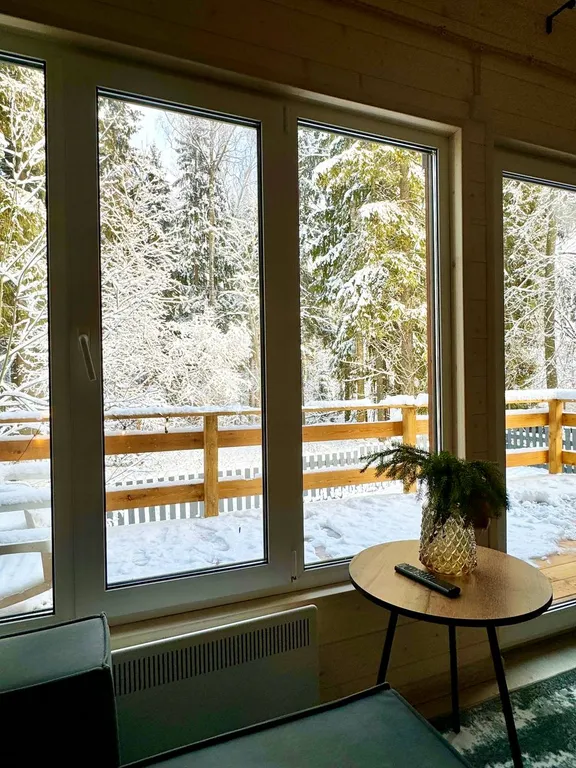 Дом с чаном и сауной в лесу