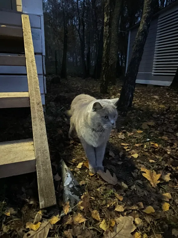 Дом с баней в национальном парке Угра