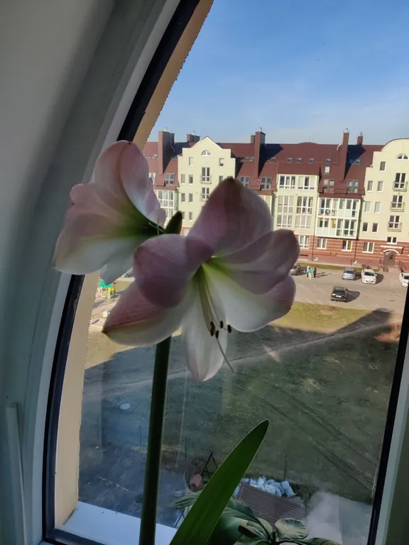 Уютная мансарда в Новой Резиденции