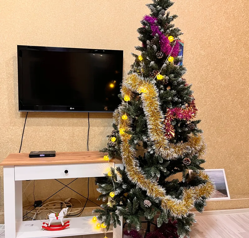 Коттедж Уютный дом в центре города с мангалом и ёлочкой — аренда посуточно в Ростов-на-Дону