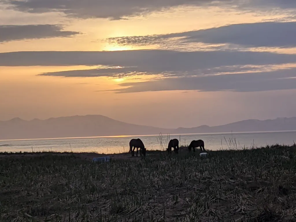 Уютный купол на острове Кунашир