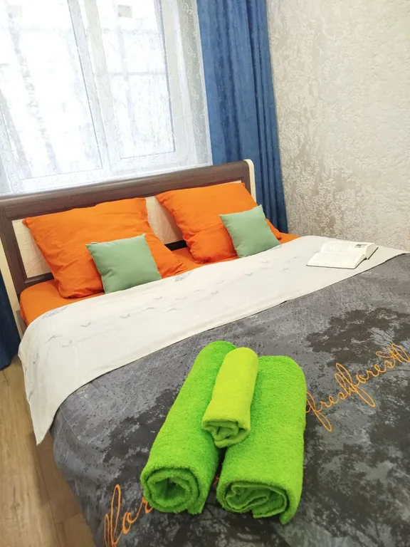 Двухкомнатная квартира с новым современным ремонтом — аренда посуточно в Псков