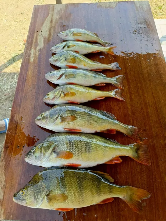 Уютный домик рыбака