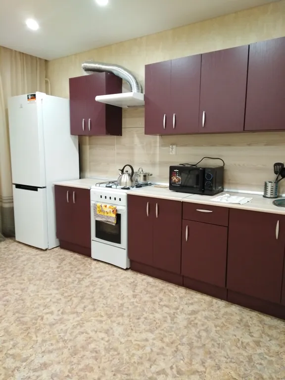 Просторная квартира на Шекснинском