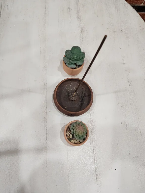 Апартаменты с видом на сосны недалеко от Мега Химки