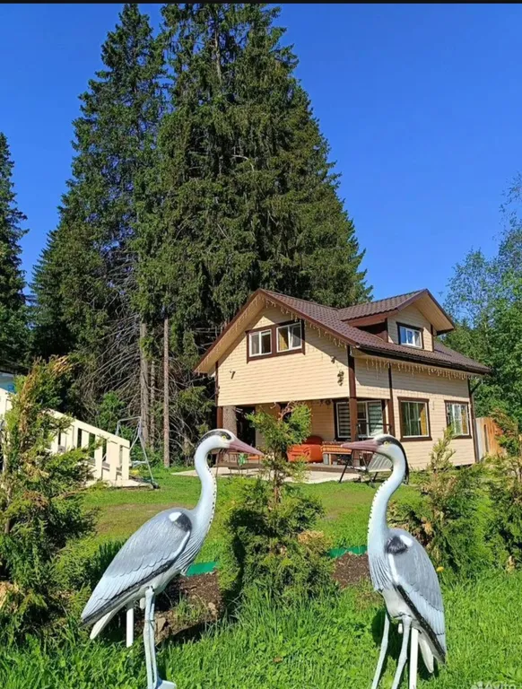 Дом у речки