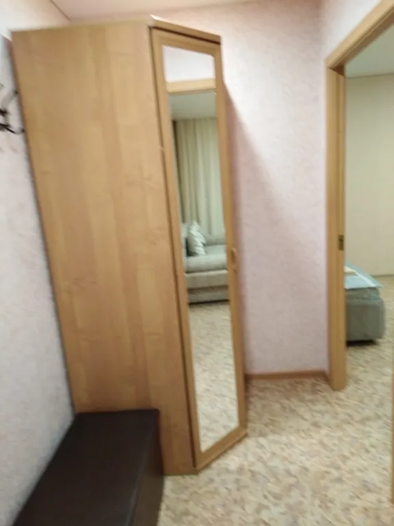 Просторная квартира на Шекснинском