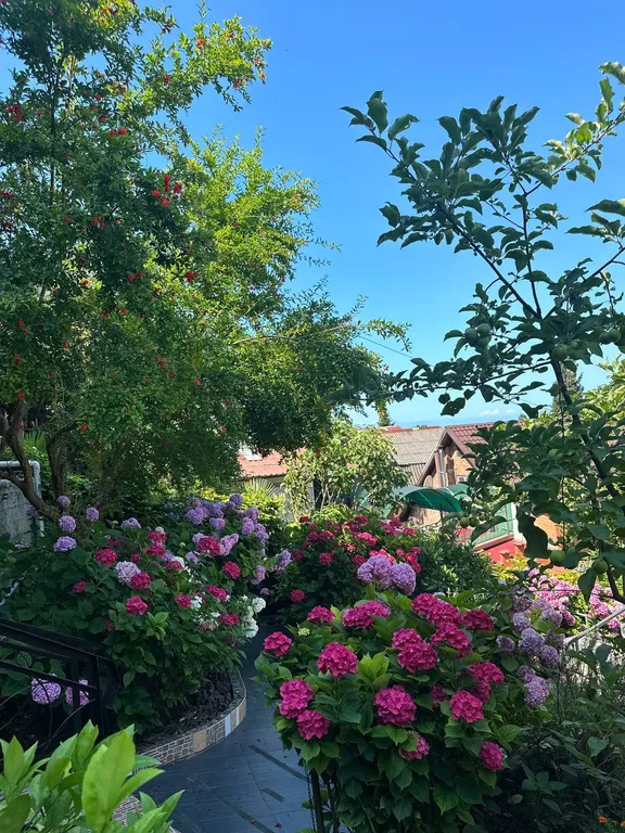 Квартира Комната — Лазаревское