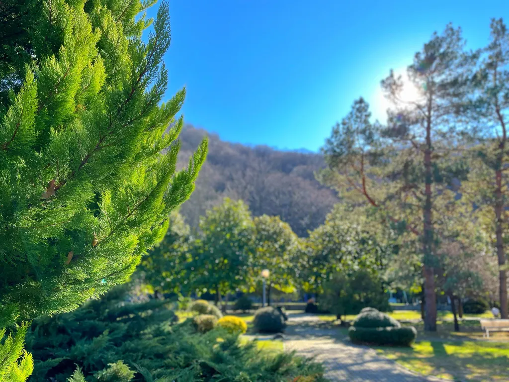 Апартаменты в Ботаническом саду 7 минут от пляжа