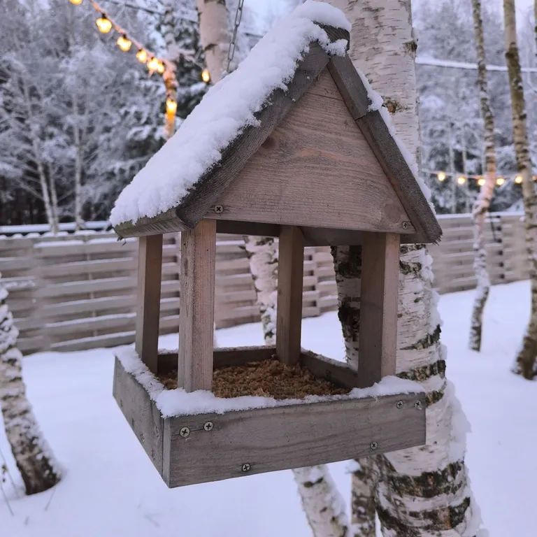 Коттедж Эко-дом Пчёлка в живописном лесу — Минино (Раменский м/о)