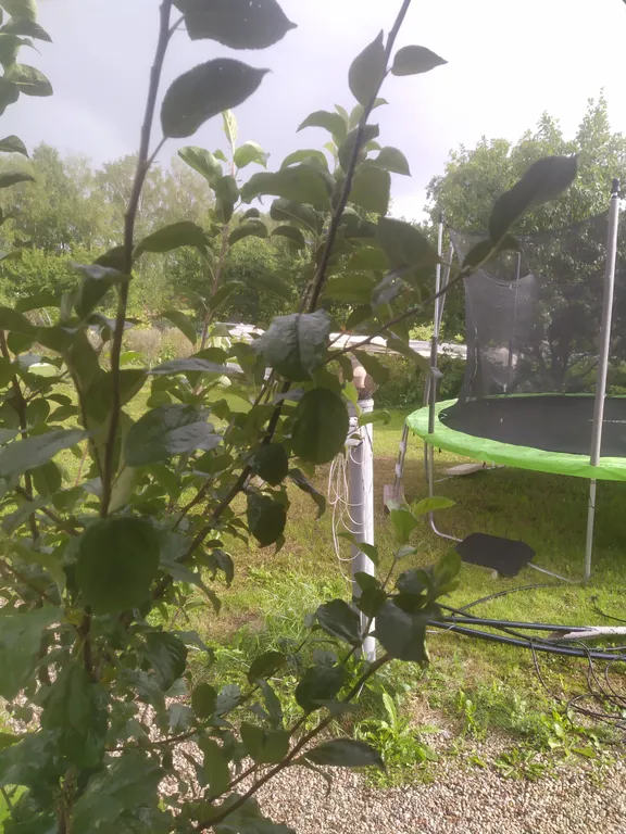 Коттедж Дом с 2 спальнями — Луга