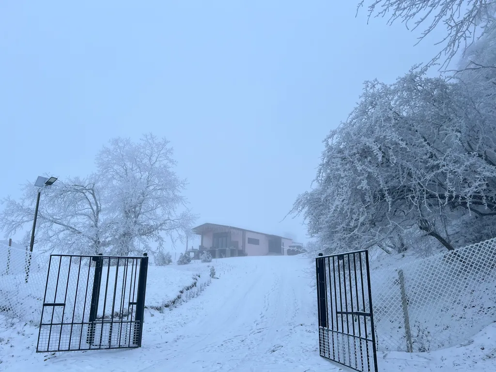 Домик на холме с видом на лес и горы