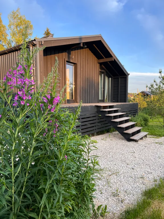 Дача в лесу с панорамными окнами