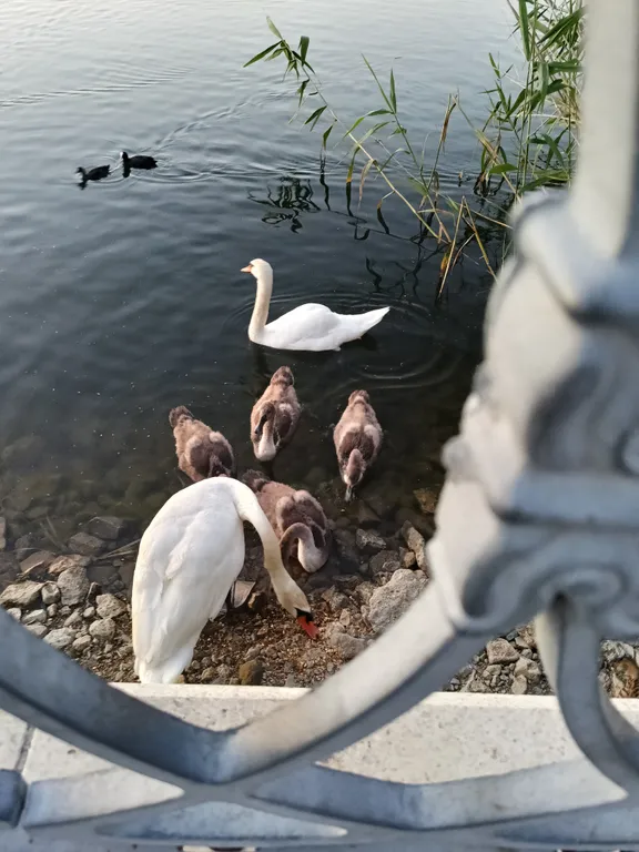 Квартира Апартаменты горячее сердце — Горячий Ключ