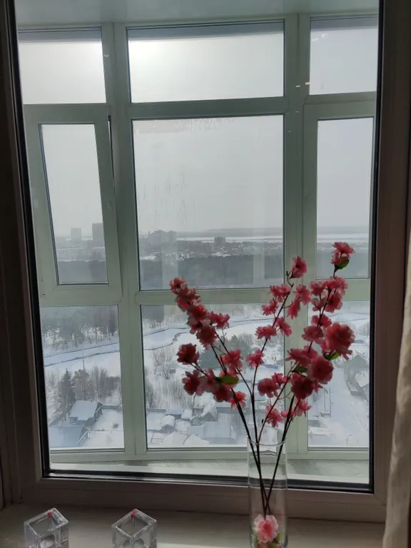 Уютная квартира с панорамным видом на парк