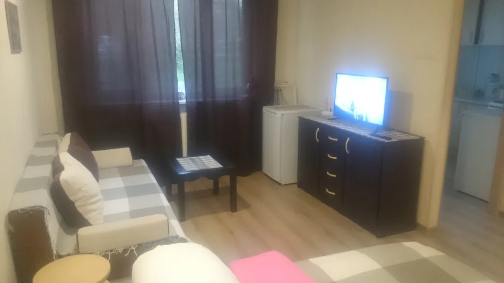 Уютная однокомнатная квартира в центре города