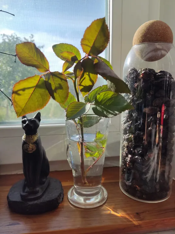 Гостевой дом Ладога