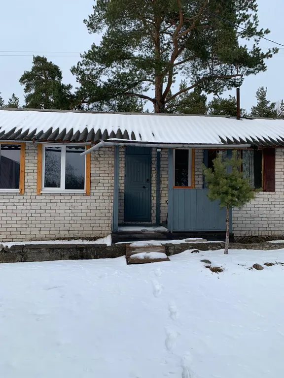 Домик в сосновом бору