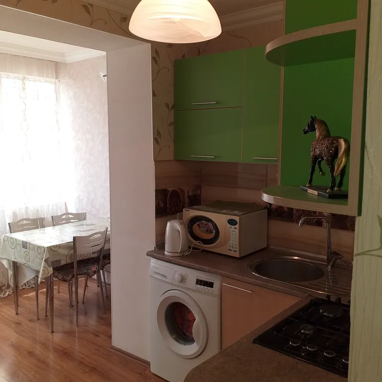 1-комнатная квартира в центре города