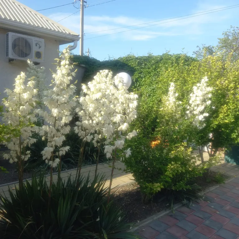 Коттедж Уютный одноэтажный дом — Должанская