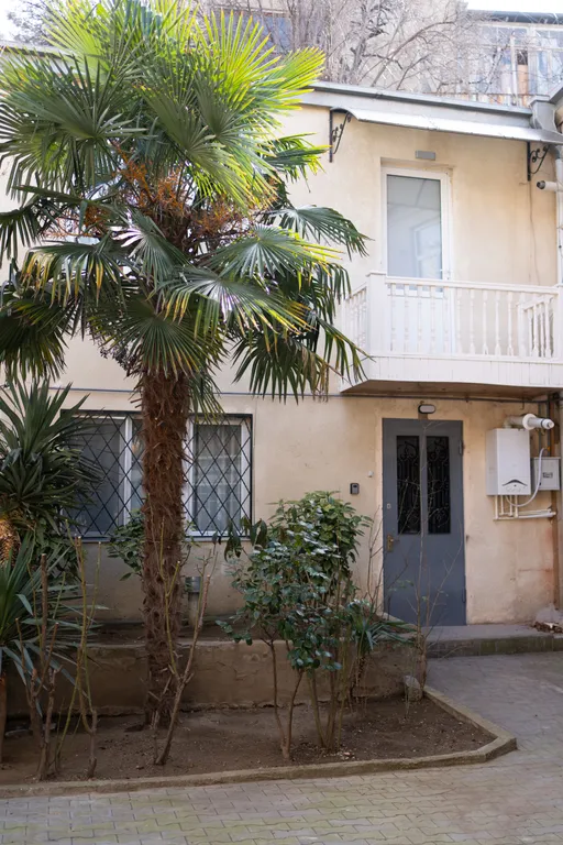 Новый дом на Руставели