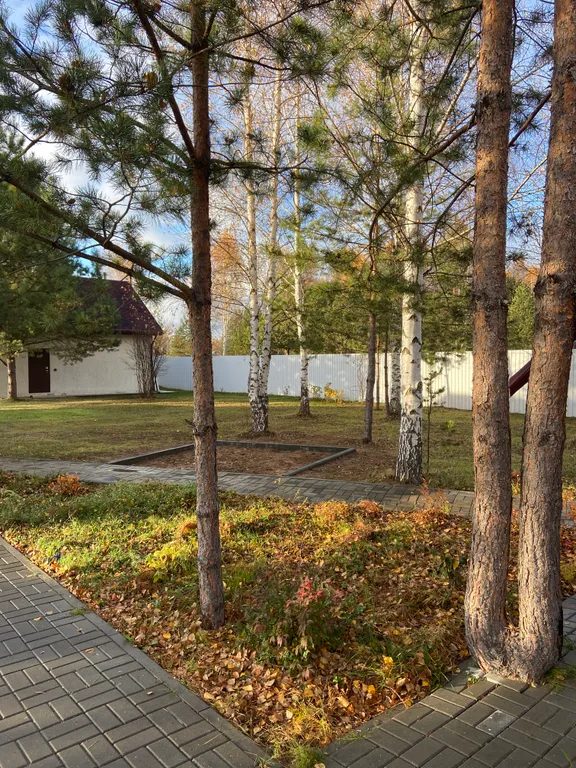 Сказочный дом в лесу