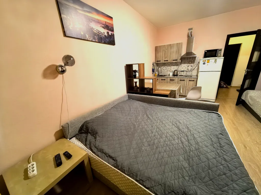 Уютная квартира-студия в 5 минутах от кад