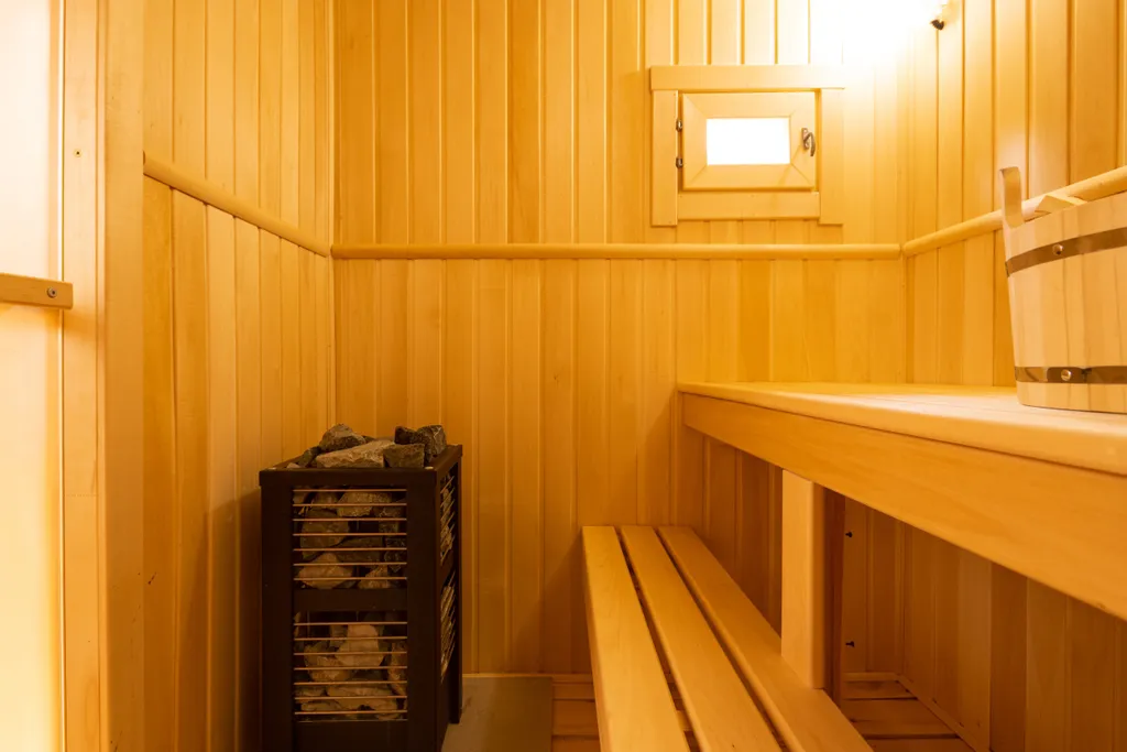 Дом с баней в лесу