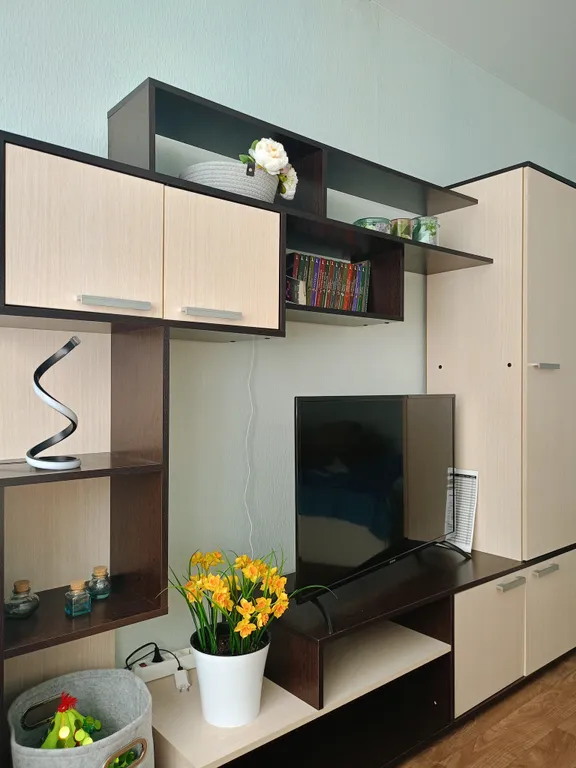 Уютная квартира с видом на северное сияние и на горы