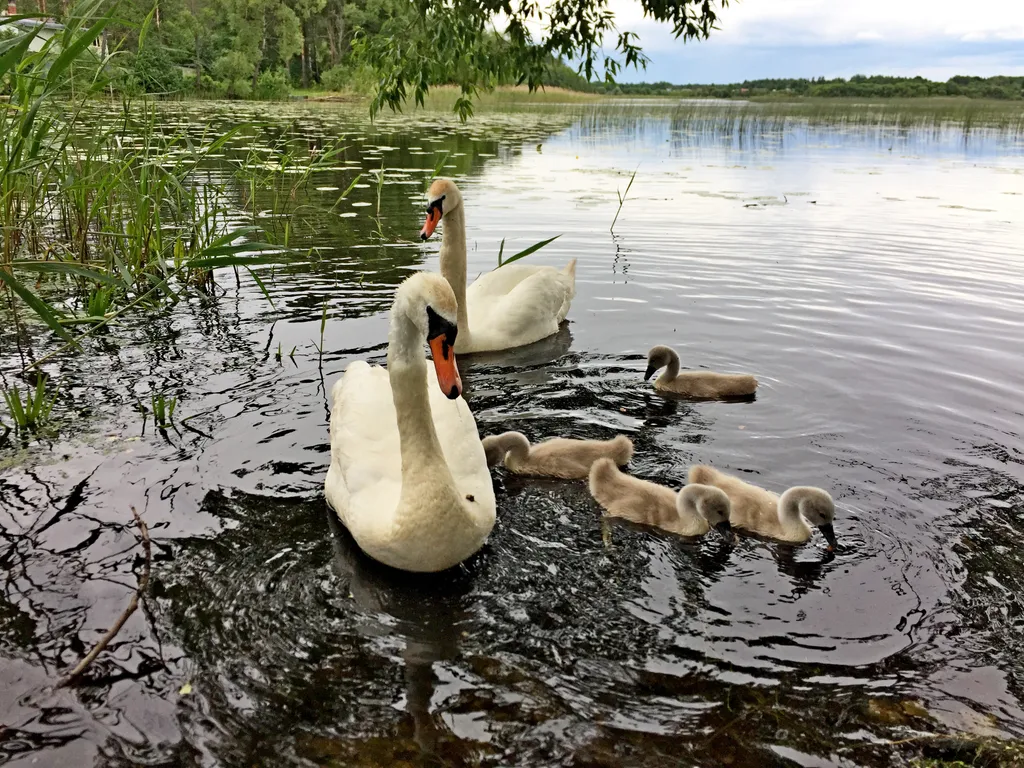 Усадьба Терраса на берегу озера
