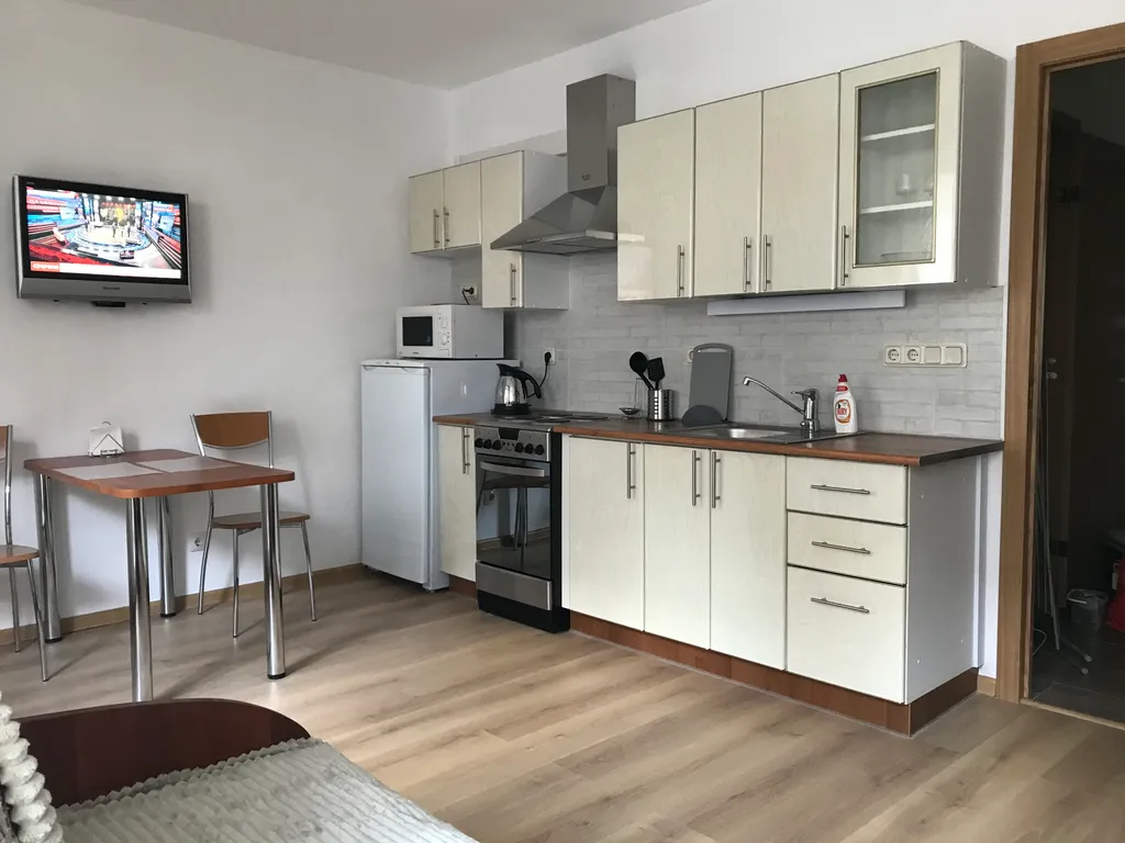 Квартира Квартира Уютная и чистая студия — Песочный