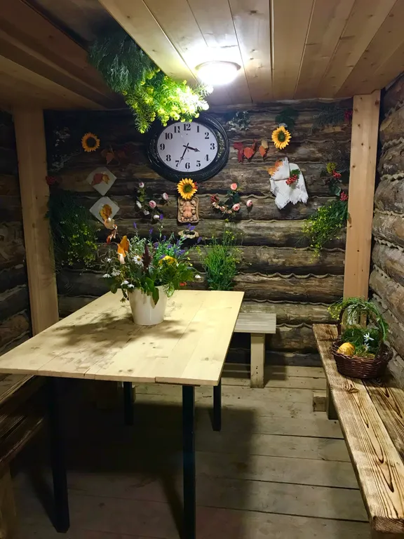 Кошкин дом в Комарово