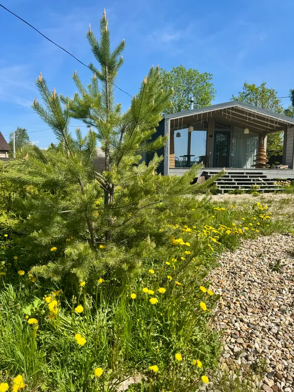 Коттедж Дом с видом на реку недалеко от Moscow Raceway — аренда посуточно в Истра