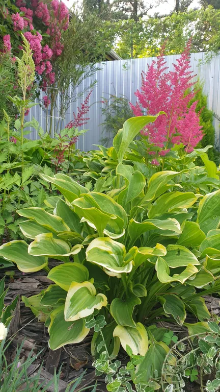 Комната в частном доме