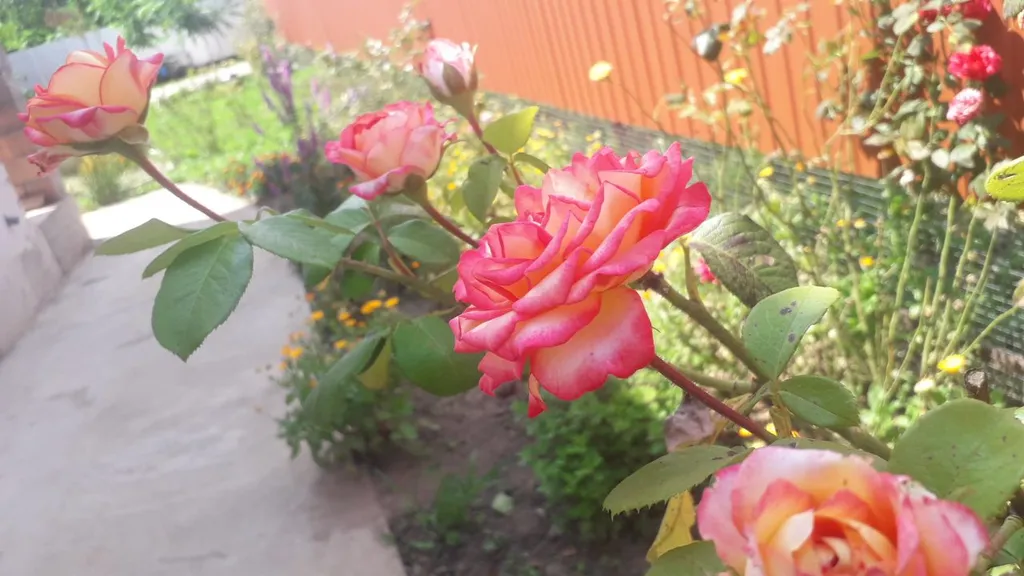 Дом в горах