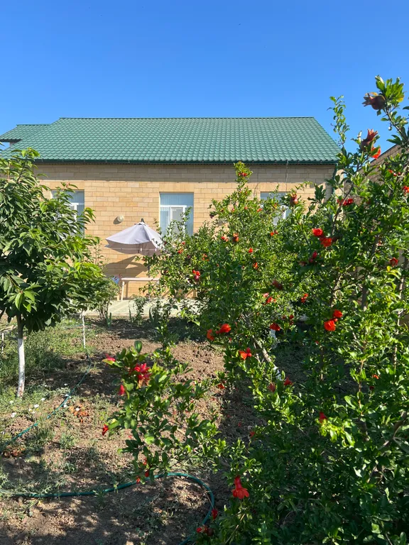 Комнаты две в 10 минутах пешком от набережной