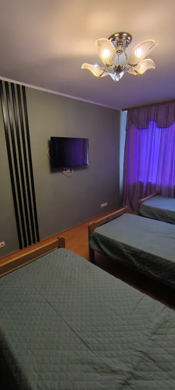 Трёхкомнатная квартира возле Звездного