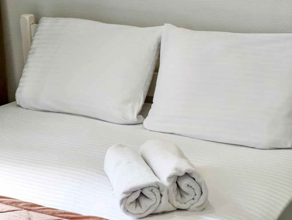 Квартира - студия "2 Весны"